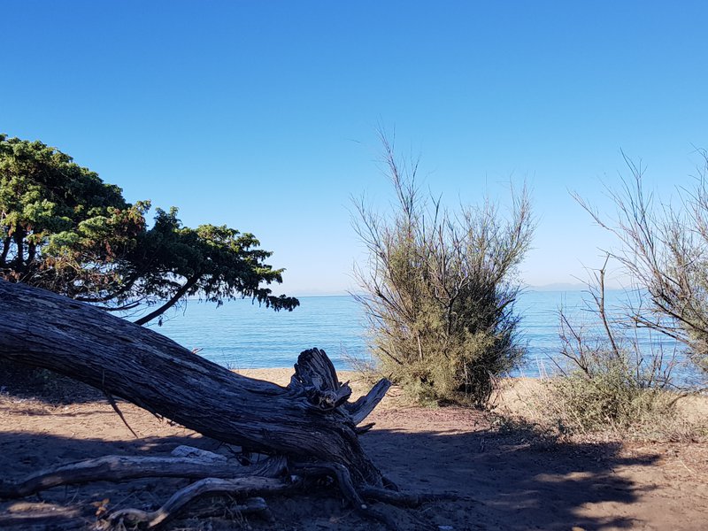 Spiaggia_Rimigliano