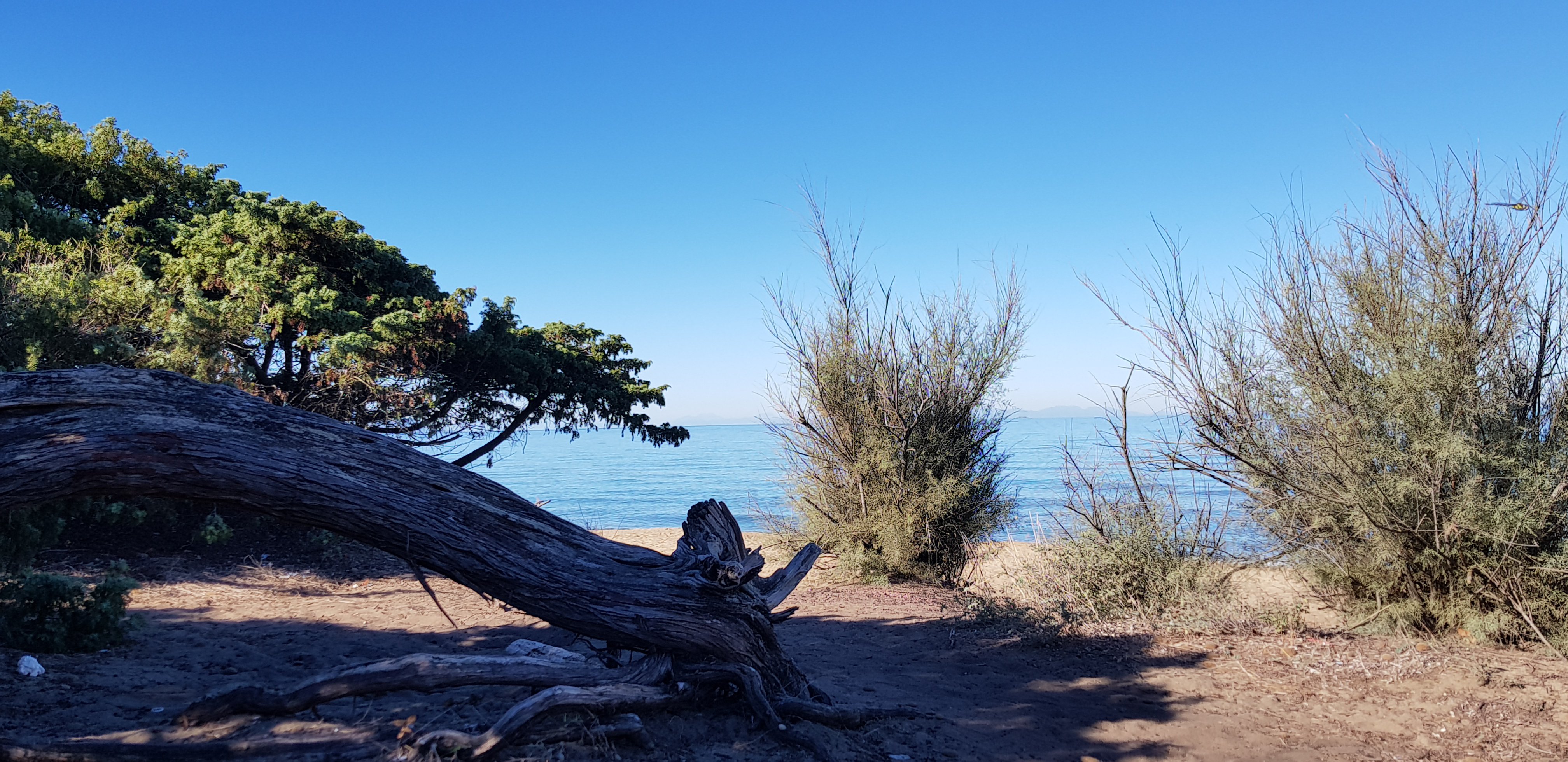 Spiaggia_Rimigliano