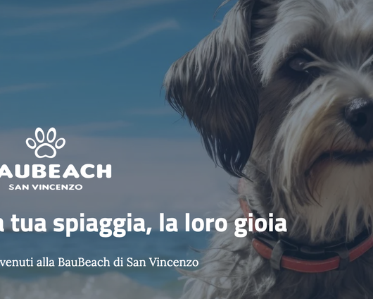 BauBeach