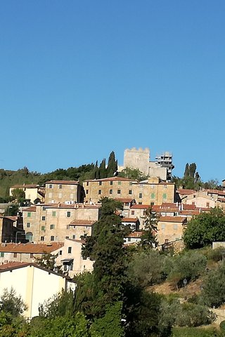 Campiglia