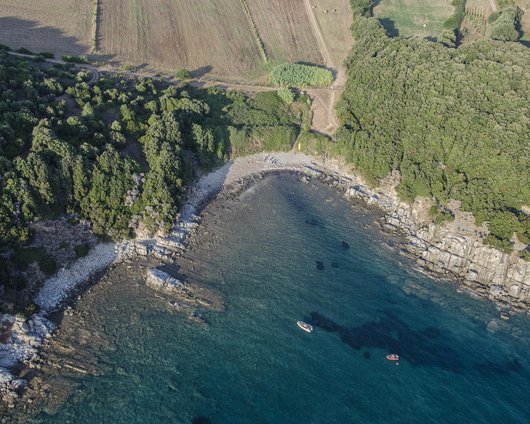 Pozzino