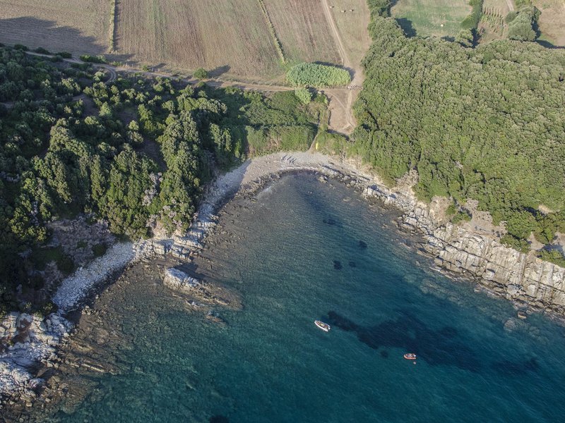 Pozzino