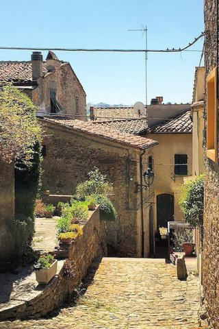 Montescudaio