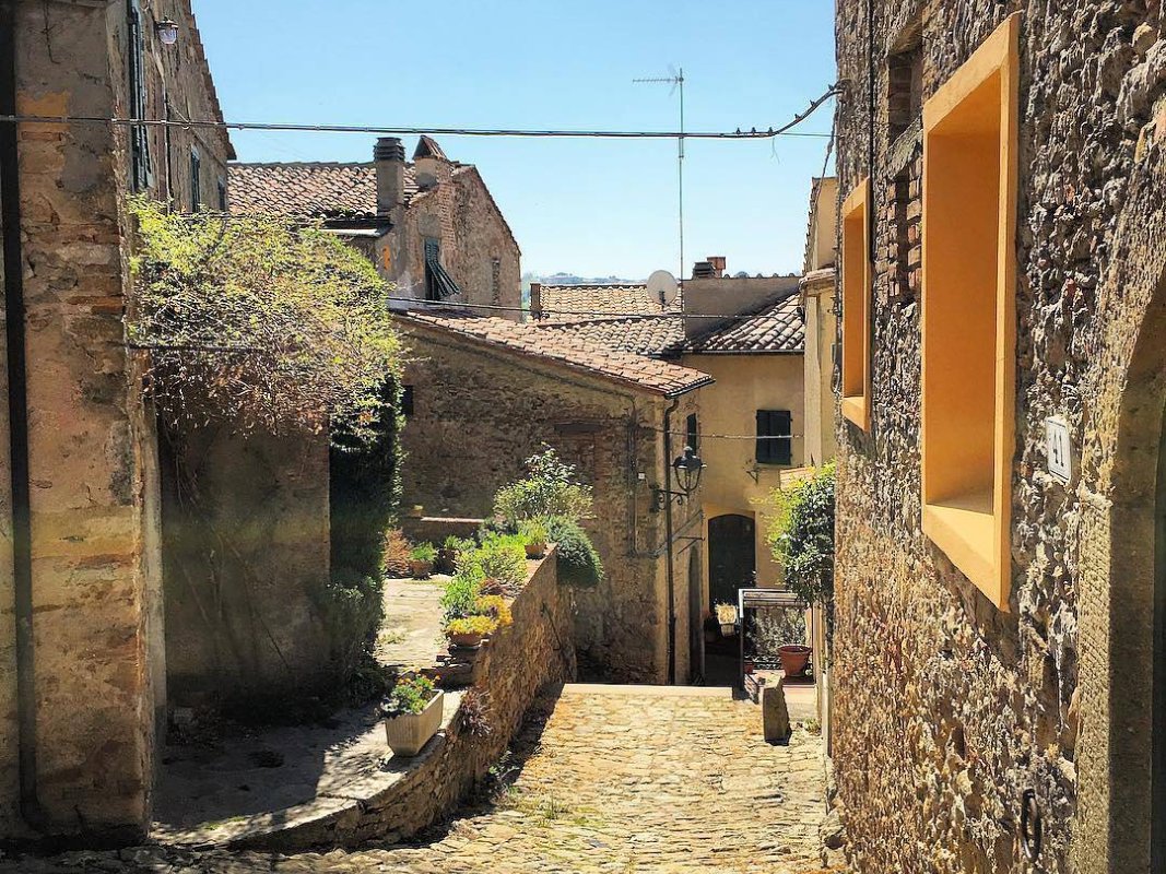 Montescudaio