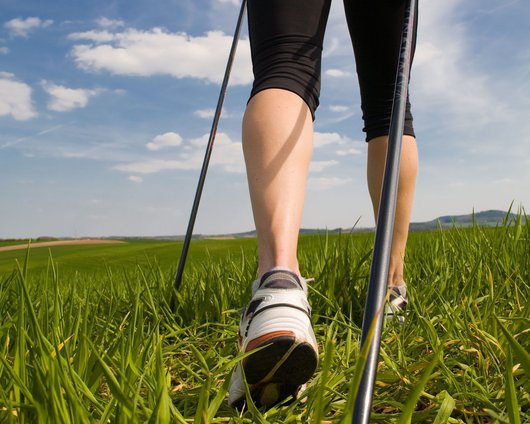 nordic walking