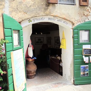 Museo dell'olio