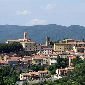 Montescudaio