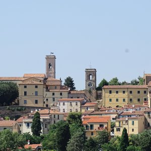Montescudaio