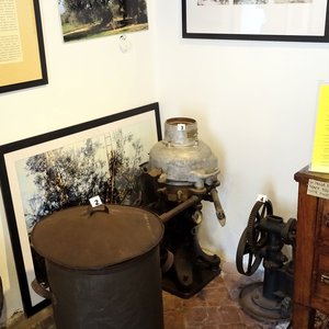 Museo dell'olio