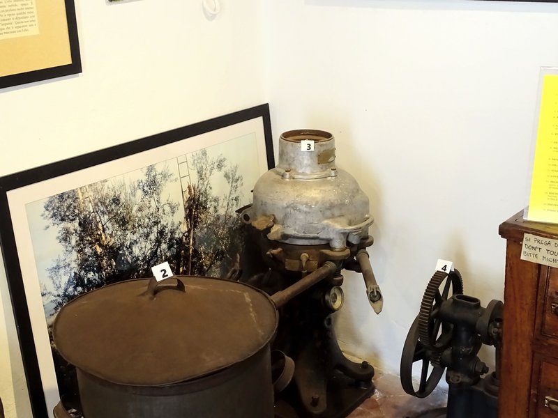 Museo dell'olio