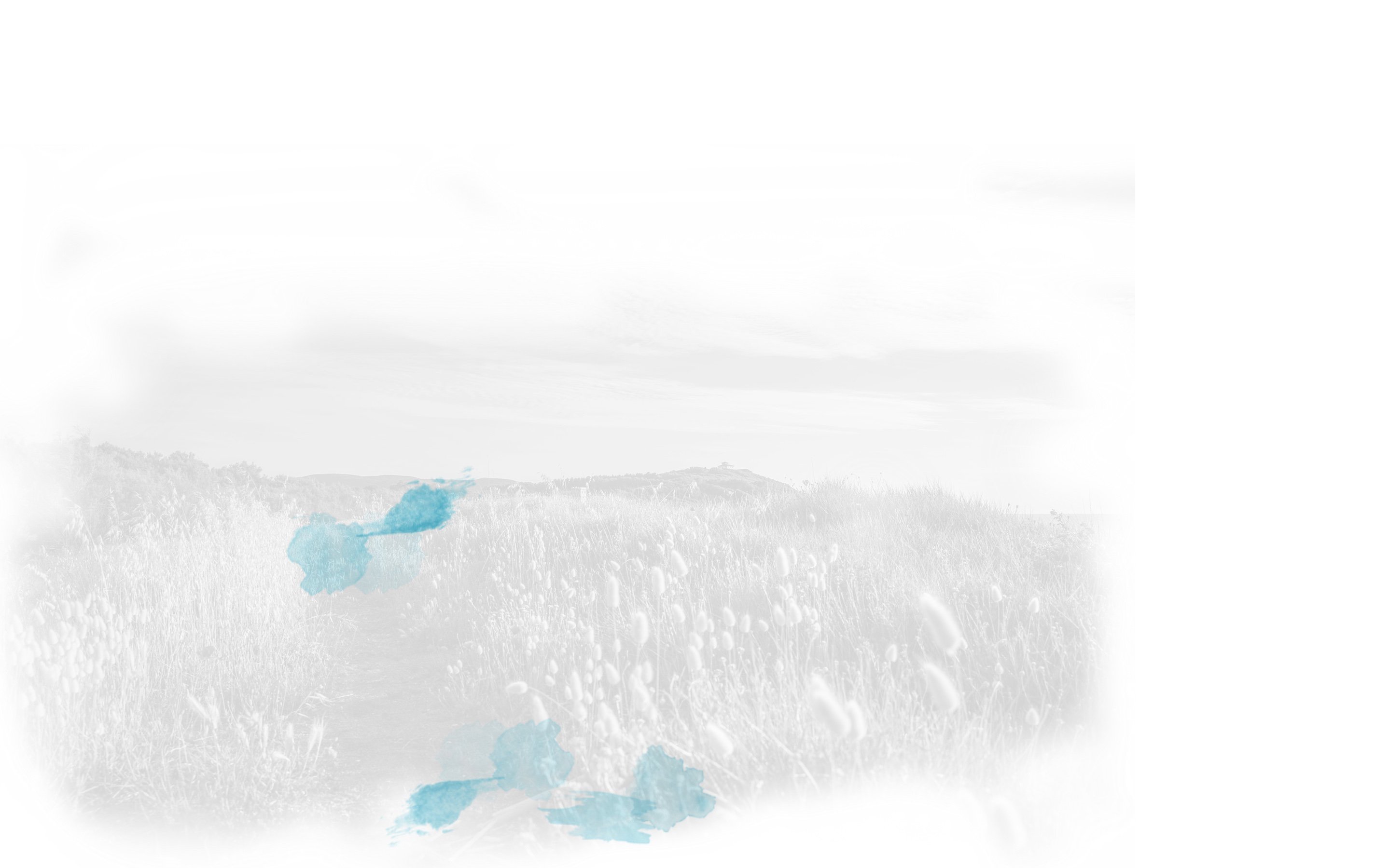costaBN.png