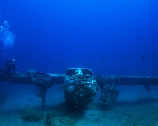 Diving