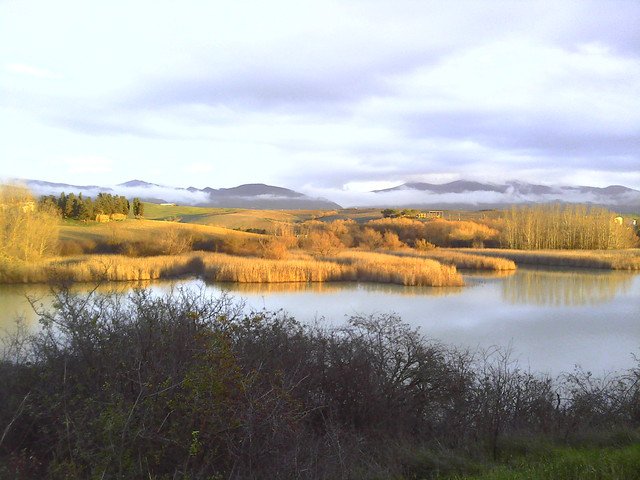Santa Luce
