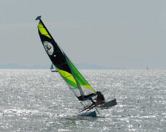 Vela