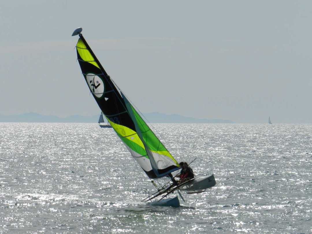Vela